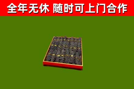 阿克塞县回收海参